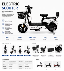 Bicicleta Dorada, Neumáticos Opcionales de 14/16 Pulgadas, Diseño de Gran Capacidad de Carga, Jinying de Largo Alcance Ofrece hasta 50 km de Autonomía por Carga para Exteriores - Product Image 6