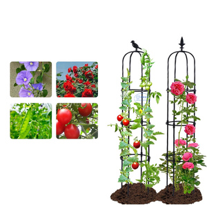 Treillis d'intérieur pour plantes grimpantes, treillis rond pour rosiers - Product Image 5