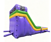 Toboggan gonflable commercial à double piste, violet, jaune, vert, pour enfants, toboggan de jeu extérieur pour les événements de parcs d'attractions