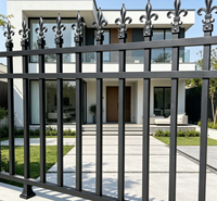 Clôture en acier noir de style européen avec embouts en fleur-de-lis, balustrade de sécurité ornementale thermolaquée pour villa, jardin