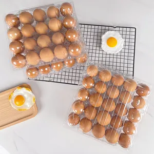 Uova vassoio di plastica contenitori di cartone PET plastica imballaggio alimentare uova cartone cartone di plastica per uova