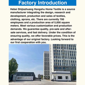 2025 OEM Siêu Thị Của Phụ Nữ Nhiệm Vụ Nặng Nề Không Thấm Nước Bông Không Tay Tạp Dề Có Thể Điều Chỉnh Hiệu Cắt Tóc Biểu Tượng Tùy Chỉnh Nhà Bếp Tạp Dề - Product Image 3