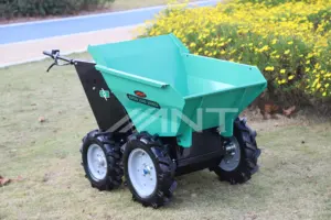 ANT HOT SALE ELECTRIC MINI DUMPER With Electronic Brake EBY300