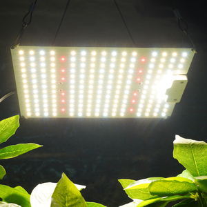 ไฟปลูกพืช 100W แบบ LED สเปกตรัมเต็มรูปแบบ พร้อมระบบหรี่แสง สำหรับเพาะต้นกล้าและปลูกผักในร่ม - Product Image 6