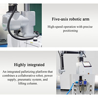 Cobot de Paletización Colaborativo Automatizado Industrial para Almacenes Modernos con Sistema de Visión Inteligente de Alta Eficiencia Certificado por CE ISO