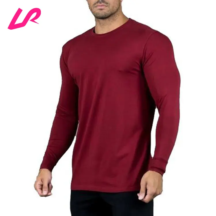 OEM sıcak satış spor giyim Fitness koşu aşınma standart Fit Mesh geri temel uzun kollu T shirt erkekler için