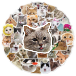 50 Piezas de Pegatinas de Vinilo Estéticas de Dibujos Animados Lindos, Calcomanías Impermeables de Moda, Divertidas Pegatinas de <span class=keywords><strong>Memes</strong></span> de Gatitos para Niños y Portátil - Product Image 6