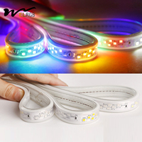 Bande LED intelligente 110V/220V, six couleurs, lumière RGB à intensité variable, étanche, panneau lumineux 144 LED/M, extérieur, avec commande vocale