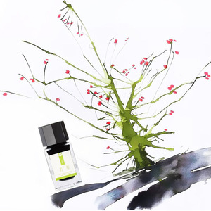 20 colori opzione 20 ML disegno scrittura arte calligrafo inchiostro penna stilografica inchiostri penna inchiostro Non carbone - Product Image 3