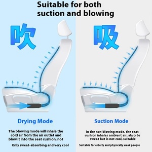 Custom-Made Summer Car Seat <b>Cushion</b> Cotton Air Conditioning Ventilation Blowing Suction <b>Silk</b> Ice for Driver's Comfort CNS-092 Co - Product Image 5