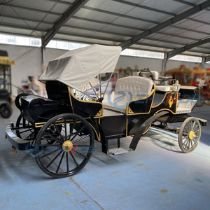 Carruaje Eléctrico de Transporte Especial en Oferta, Carruaje Real Europeo sin Caballos, Carruaje Turístico sin Caballos, Carritos Eléctricos - Product Image 5
