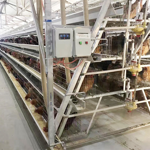 Gabbia Automatica per Polli da Deposizione, Attrezzatura Automatica per Allevamento Avicolo, Gabbia a Batteria Automatica, Jaula <span class=keywords><strong>De</strong></span> Gallina Ponedora - Product Image 4