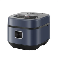 Autocuiseur Électrique Intelligent Multifonctionnel en Acier Inoxydable Antiadhésif Portable pour la Maison - Vente Chaude