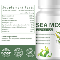 Capsules de mousse marine à succès avec extrait d'algues, Ashwagandha et CoQ10 – Complément alimentaire sain pour adultes