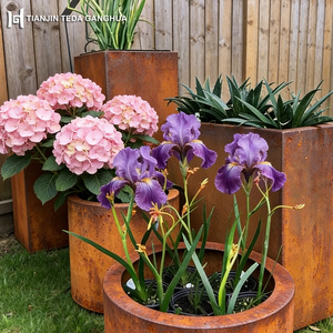 Fioriera in Acciaio Corten e Bordura per <span class=keywords><strong>Giardino</strong></span> in Acciaio Corten, Design Personalizzato Tagliato al Laser, Acciaio Resistente agli Agenti Atmosferici ASTM A242 - Product Image 6