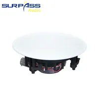 BTF41 65 pouces 40W pour haut-parleurs de plafond, de mur et de toit V5.1, amplificateur de classe D intégré, système audio bidirectionnel pour cinéma maison