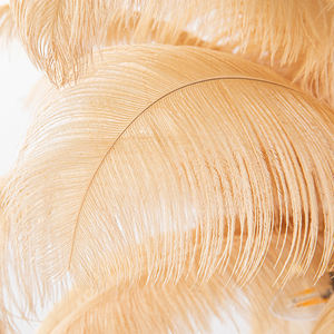 Moderne Designer große Straußen feder Stehle uchte Nordic Villa LED Stehle uchten Modernes Dekor Kronleuchter & Pendel leuchten - Product Image 5