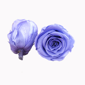 Offre Spéciale préservé rouge coupées fraîches roses fleur <span class=keywords><strong>tête</strong></span> dans une boîte cadeau pour mur de fleurs artificielles - Product Image 3