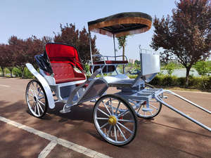 Carruaje Eléctrico para Turismo, Carruaje de Caballos para Bodas en Venta - Product Image 5