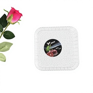 Plato de Plástico ZAA AA-1106-1 para Eventos y Fiestas, Elegante, Portátil, Duradero y Moderno - Product Image 1