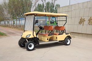 Voiturette de golf électrique pas chère, 2 places, véhicule utilitaire agricole, buggy tout-terrain - Product Image 2