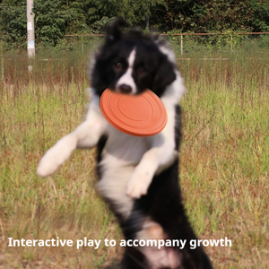 Disco Volador para Perros Joysing, Juguete de Entrenamiento para Cachorros, Disco Ligero, Suave y Flotante para Perros Pequeños y Medianos, para Entrenamiento Deportivo al Aire Libre - Product Image 2
