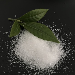 Poliacrilato di Potassio SAP per Uso Agricolo - Product Image 4