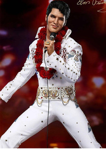 Conjunto de Disfraz PINCE para Hombre, para Adultos, Actuaciones en Escenario, Disfraz de Elvis, Inspirado en Películas y Televisión, Poliéster, Disponible - Product Image 2