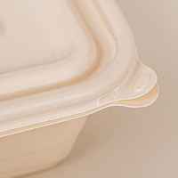 Conteneur en plastique ABS rectangulaire jetable personnalisé pour emporter, emballage alimentaire biodégradable avec couvercle, marque FUHAN, épaisseur 1 mm