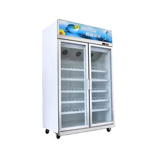 Resfriador de vidro de geladeira, refrigerador de vidro de baixo preço para porta dupla com exibição de cerveja