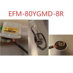 Bobine de vanne d'expansion électronique EFM-80YGMD-8R pour systèmes de climatisation centralisée - Product Image 4