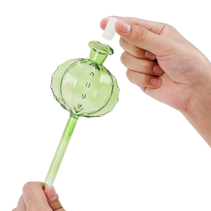Produits de jardinage à domicile en verre de qualité supérieure, machine d'arrosage automatique pour <span class=keywords><strong>cactus</strong></span>, machine d'arrosage automatique pour jardinage à domicile, système d'arrosage goutte à goutte - Product Image 2