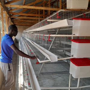 Cage de batterie Couche Oeuf de poulet cages de Type a pour couches Ferme avicole de couche automatique 96/120/128/160 Capacité Cage de ponte d'oiseaux - Product Image 4