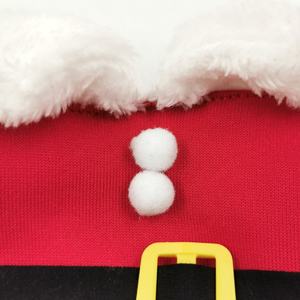 Mode chien chat vêtements de noël père noël debout Costume hiver à capuche manteau vêtements pour animaux de compagnie luxe vêtements pour animaux de compagnie concepteur - Product Image 6