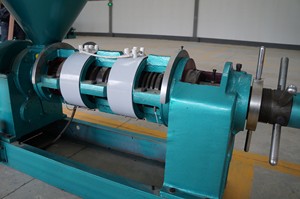 Prensa de Aceite Comercial Automática de Tornillo de Presión en Frío YZYX130WK, Capacidad de 8 TPD, Alto Rendimiento para Aceite de Sésamo y Cacahuete, Fácil de Operar - Product Image 3