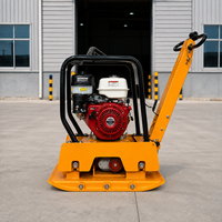 Compacteur à plaques réversible robuste de 220 kg 34 KN pour le compactage de sols lourds (vente en gros)