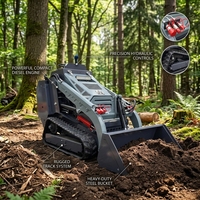 Mini-chargeuse compacte sur chenilles avec hydraulique à haut débit pour les travaux de démolition, forestiers et sur terrains accidentés