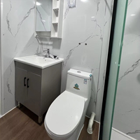 Maison conteneur pliable et extensible préfabriquée sur mesure de 20 pieds, 2 ou 3 chambres, maison mobile avec cuisine, style moderne du milieu du siècle