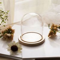 Chenyang — pot de Cloche en verre transparent décoratif sur mesure, présentoir, Cloche pour étui de table, aliments pour plantes couverts