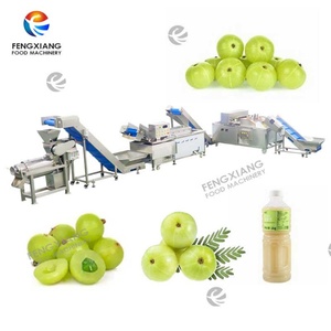 Machine industrielle pour le dénoyautage, le traitement à l'eau chaude et l'extraction de jus des cerises, des prunes, des pruneaux, des groseilles indiennes et des Phyllanthus Emblica - Product Image 1