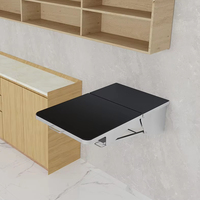 Table d'inspection pliable pour animaux de compagnie, capacité de charge de 100 kg, instrument vétérinaire, design mural pliable pour hôpital vétérinaire