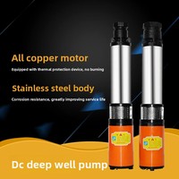 Pompe submersible à grafit sphérique pour arrosage de légumes, alimentée par batterie solaire CC 12V/24V/48V/60V/72V, exclusive transfrontalière
