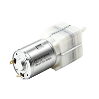 Système de massage aqua-aéro, mini pompe à air DC 13,5 V, pompe à déplacement positif
