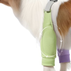 Pet Joint <b>Protector</b> Color Blocking Breathable <b>Knee</b> Pads For Dog Front Leg All Seasons - Product Image 2