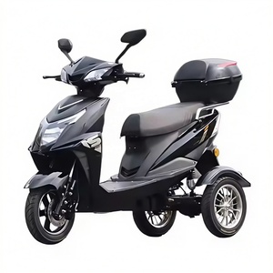 Nouveau tricycle scooter à 3 roues pour adultes, moto à cabine ouverte, 1500W - Product Image 1