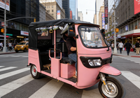 Tricycle Passager 6 Places Cabine Ouverte Véhicule à Trois Roues Batterie au Lithium Meilleur Prix