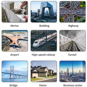 Atacado VAE Pó De Polímero Dispersível RDP Adesivo Vae Adesivo Em Pó - Product Image 6