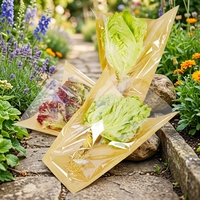 Sac d'emballage pour légumes en papier kraft de pâte mécanique, fabriqué à la machine, recyclable, écologique, imperméable et antistatique, pour ferme hydroponique
