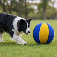 Housse de ballon de yoga et de Pilates de forme originale, nouvelle conception, pour chien et cheval