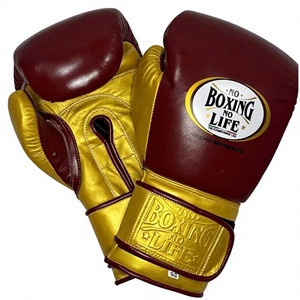 No Boxing No Life Gants de boxe d'entraînement personnalisés en cuir de vachette pour adultes avec fermeture auto-agrippante - Product Image 1